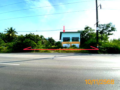 Houses for sale Khlong Thom Krabi : HOME for sale  Phela Khlong Thom Krabi