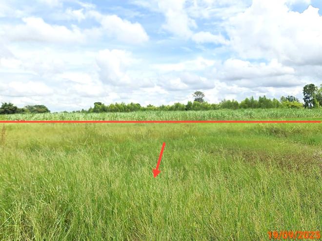 picture LAND for sale Thap Rang Phra Thong Kham Nakhon Ratchasima - 5/16