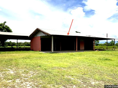 โรงงาน พญาเม็งราย เชียงราย : โกดัง สำหรับขาย - ไม้ยา พญาเม็งราย เชียงราย