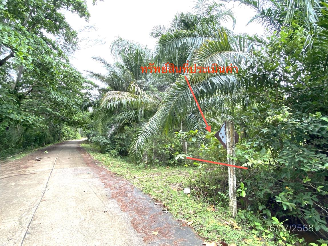 picture LAND for sale Ko Sukon Palian Trang - 20/24