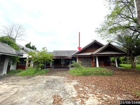 รูป บ้านเดี่ยว สำหรับขาย - อุ่มเม่า ยางตลาด กาฬสินธุ์ - รูปที่ 57/60