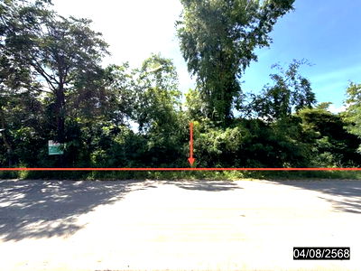 Land for sale Khon Kaen : LAND for sale  Non Sa-at Chum Phae Khon Kaen