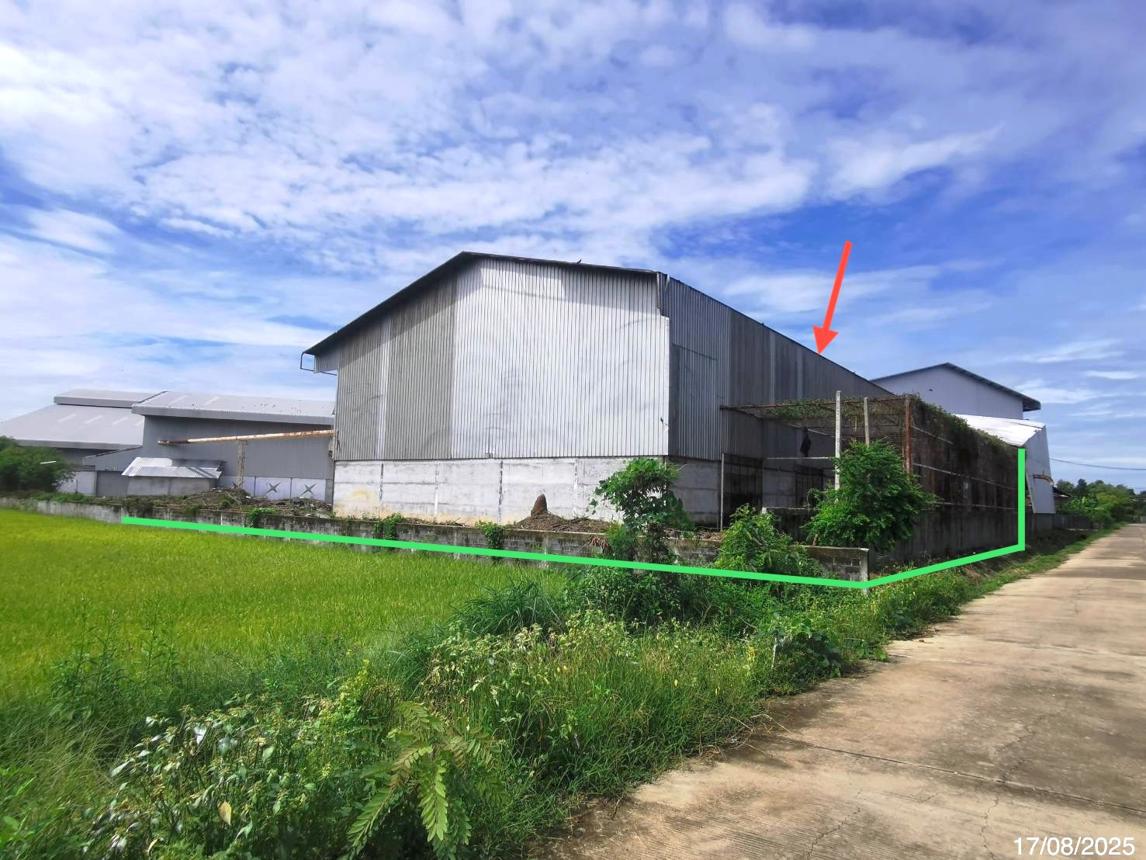 รูป โกดัง สำหรับขาย - หัวเขา เดิมบางนางบวช สุพรรณบุรี - รูปที่ 19/24