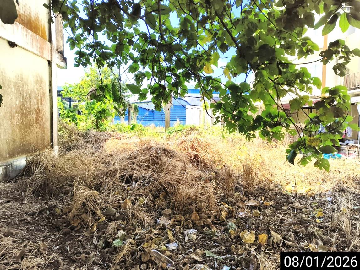 รูป ที่ดินว่างเปล่า สำหรับขาย - ท่าแซะ ท่าแซะ ชุมพร - รูปที่ 11/20