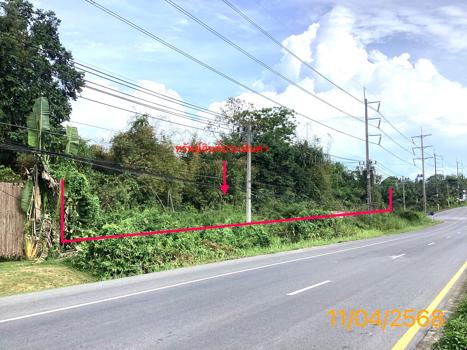 รูป ที่ดินว่างเปล่า สำหรับขาย - คึกคัก ตะกั่วป่า พังงา - รูปที่ 9/12