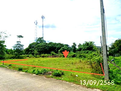 Land for sale Nakhon Sri Thammarat : LAND for sale  Chamai Thung Song Nakhon Sri Thammarat