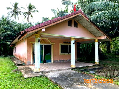 Houses for sale Khlong Thom Krabi : HOME for sale  Khlong Phon Khlong Thom Krabi