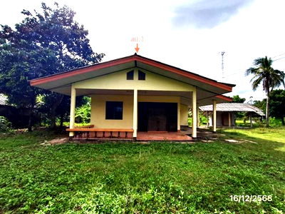 Houses for sale Khuan Khanun Phatthalung : HOME for sale  Khuan Khanun Khuan Khanun Phatthalung