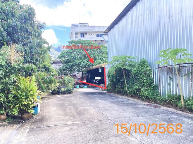 รูป บ้านเดี่ยว สำหรับขาย - ท้ายช้าง เมืองพังงา พังงา - รูปที่ 14/32