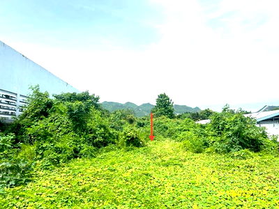 Land for sale Kanchanaburi : LAND for sale  Tha Lo Tha Muang Kanchanaburi