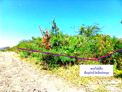 Land for sale Kaeng Khoi Saraburi : LAND for sale  Tha Khlo Kaeng Khoi Saraburi