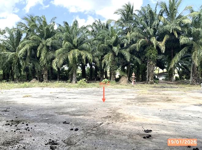 รูป โกดัง สำหรับขาย - เขาขาว ห้วยยอด ตรัง - รูปที่ 11/32