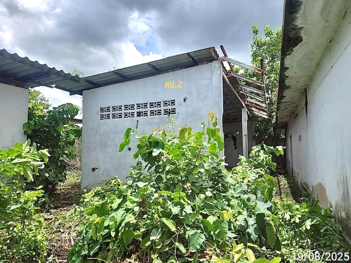 picture FACTORY for sale  Kae Dam Kae Dam Maha Sarakham - 40/44