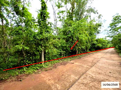Land for sale Sakon Nakhon : LAND for sale  Ku Su Man Ku Su Man Sakon Nakhon