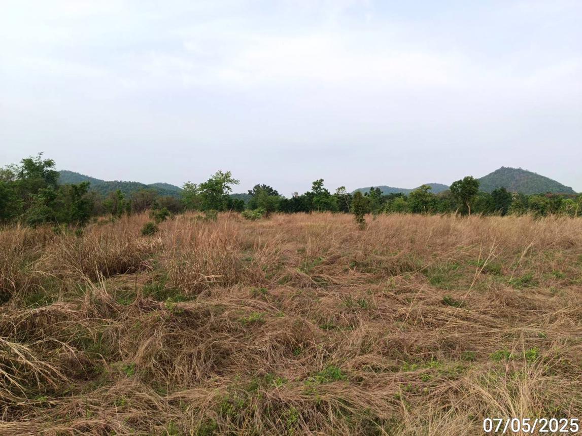 picture LAND for sale  Dong Khui Chon Daen Phetchabun - 12/18
