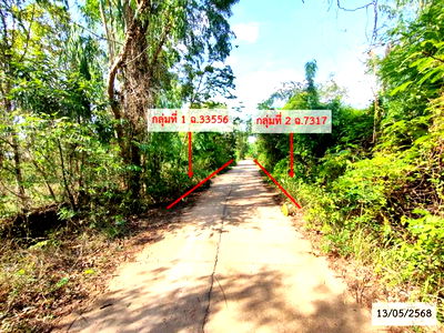 Land for sale Renu Nakhon Nakhon Phanom : LAND for sale  Nong Yang Chin Renu Nakhon Nakhon Phanom