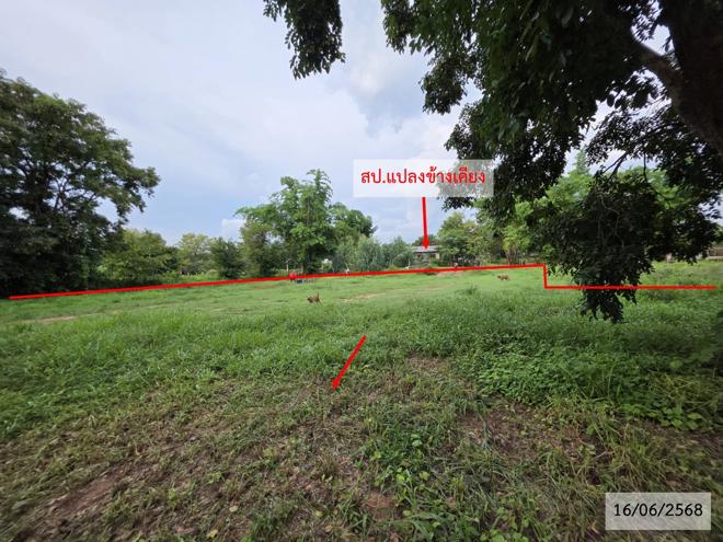 รูป ที่ดินว่างเปล่า สำหรับขาย - ปลาโหล วาริชภูมิ สกลนคร - รูปที่ 6/24