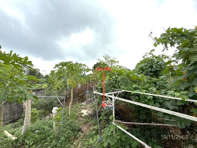picture LAND for sale Surasak Si Racha Chonburi - 2/14