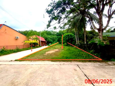 Land for sale Hat Yai Songkhla : LAND for sale  Ban Phru Hat Yai Songkhla