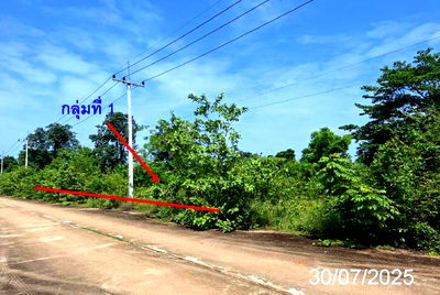 Land for sale Mae Tha Lamphang : LAND for sale  Nam Cho Mae Tha Lamphang