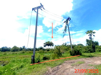 Land for sale Songkhla : LAND for sale  Thung Wang Muang Songkhla Songkhla