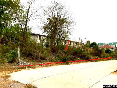 Land for sale Muang Loei Loei : LAND for sale  Muang Muang Loei Loei