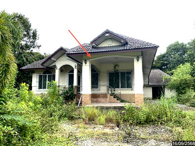 บ้านเดี่ยว เชียงราย : บ้านเดี่ยว สำหรับขาย - ไม้ยา พญาเม็งราย เชียงราย