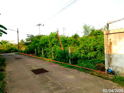 Land for sale Phetchabun : LAND for sale  Nong Phai Nong Phai Phetchabun