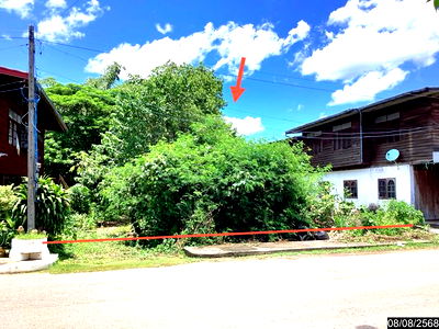 Land for sale Nong Bua Lam Phu : LAND for sale  Kut Din Chi Na Klang Nong Bua Lam Phu