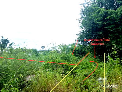 Land for sale Kamphaeng Phet : LAND for sale  Phran Kratai Phran Kratai Kamphaeng Phet
