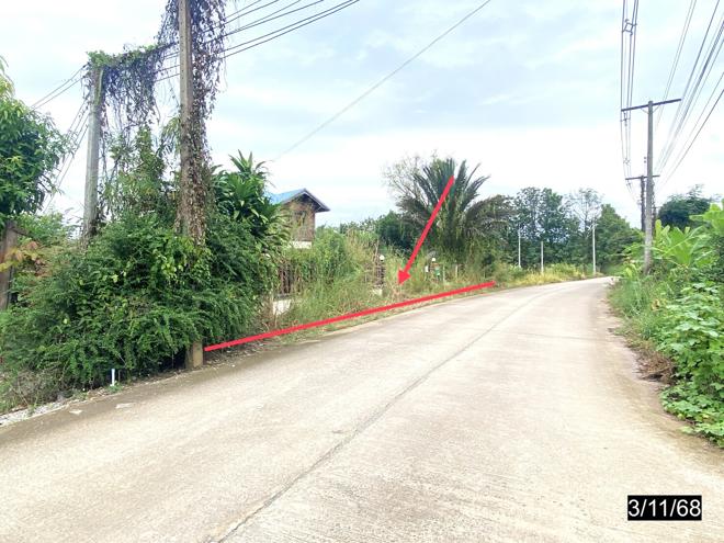 รูป บ้านเดี่ยว สำหรับขาย - นาฝาย ภูผาม่าน ขอนแก่น - รูปที่ 17/38