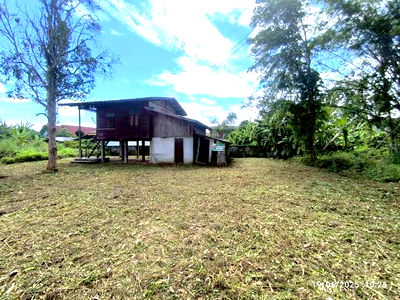 Houses for sale Phan Chiang Rai : HOME for sale  Muang Phan Phan Chiang Rai