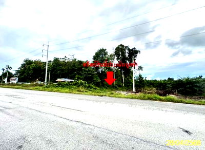 ที่ดิน นราธิวาส : ที่ดินว่างเปล่า สำหรับขาย - กะลุวอ เมืองนราธิวาส นราธิวาส