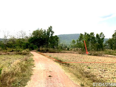 Land for sale Phu Kam Yao Phayao : LAND for sale  Dong Chen Phu Kam Yao Phayao