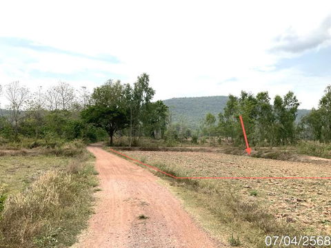 ที่ดินว่างเปล่า สำหรับขาย - ดงเจน ภูกามยาว พะเยา