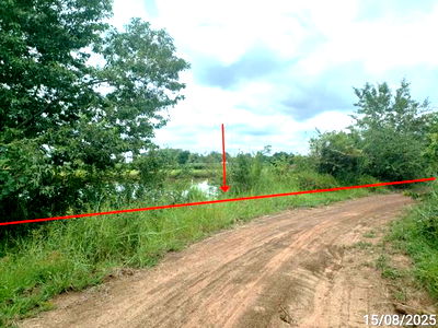 Land for sale Selaphum Roi Et : LAND for sale  Ko Kaeo Selaphum Roi Et