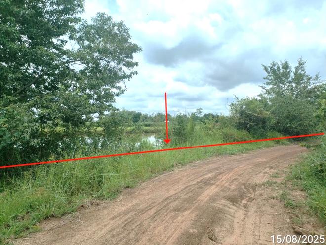 picture LAND for sale  Ko Kaeo Selaphum Roi Et - 1/16
