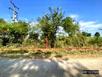Land for sale Khon Kaen : LAND for sale  Phon Phek Mancha Khiri Khon Kaen