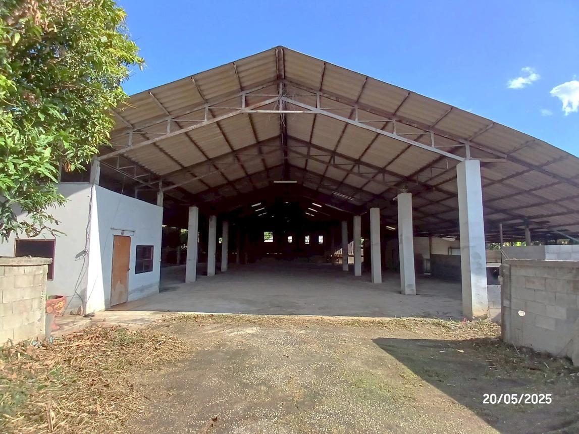 รูป บ้านเดี่ยว สำหรับขาย - เหล่ายาว บ้านโฮ่ง ลำพูน - รูปที่ 22/40