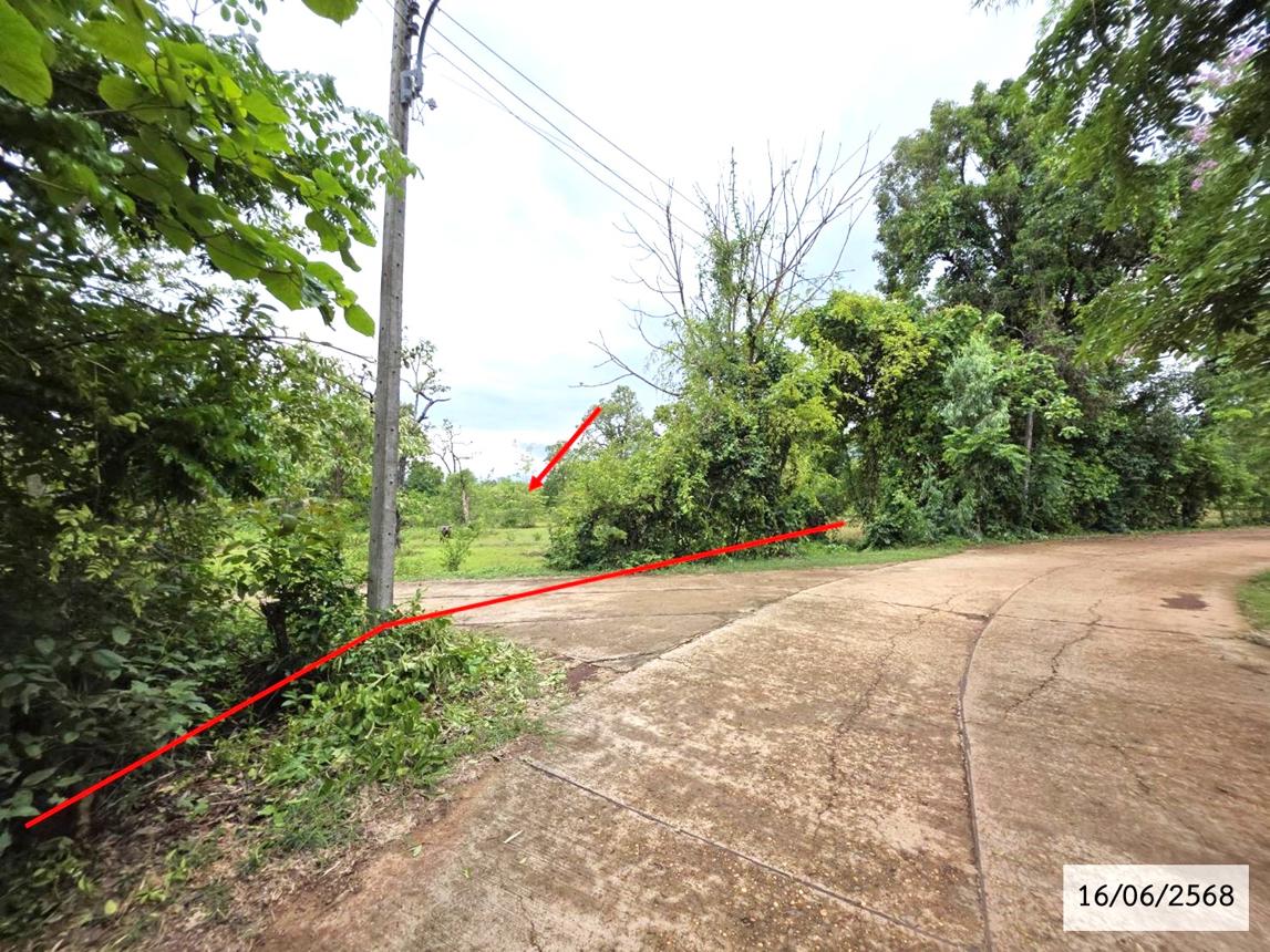 รูป ที่ดินว่างเปล่า สำหรับขาย - กุสุมาลย์ กุสุมาลย์ สกลนคร - รูปที่ 11/20