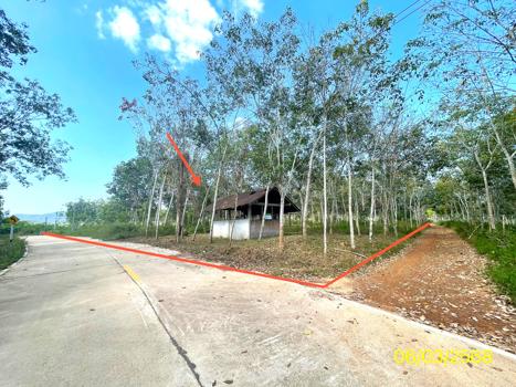 รูป บ้านเดี่ยว สำหรับขาย - พะตง หาดใหญ่ สงขลา - รูปที่ 25/28