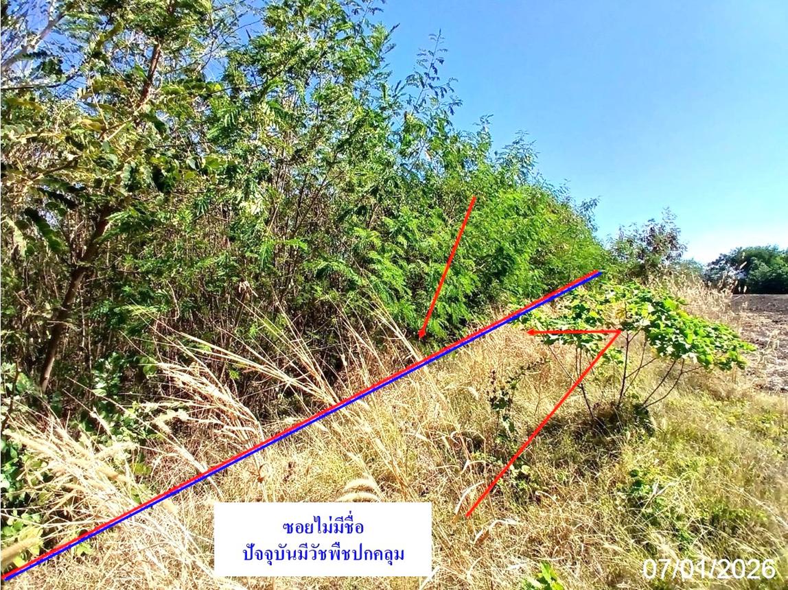 รูป ที่ดินว่างเปล่า สำหรับขาย - ท่าคล้อ แก่งคอย สระบุรี - รูปที่ 6/12