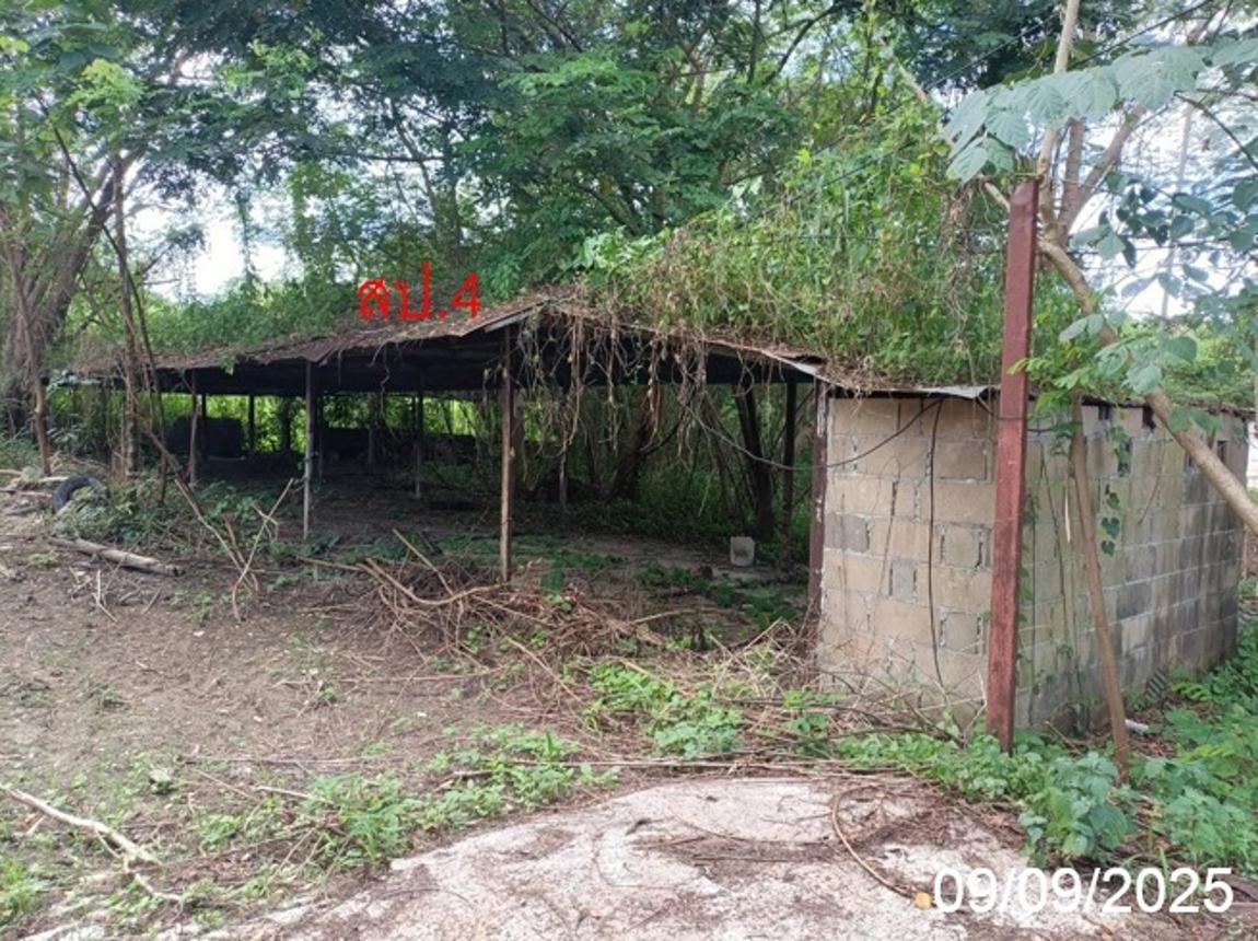 รูป บ้านเดี่ยว สำหรับขาย - ปางหมู เมืองแม่ฮ่องสอน แม่ฮ่องสอน - รูปที่ 32/44