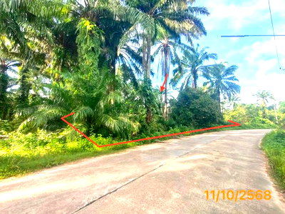 ที่ดินว่างเปล่า 239.2 ตร.วา เหนือคลอง กระบี่ 1.6M