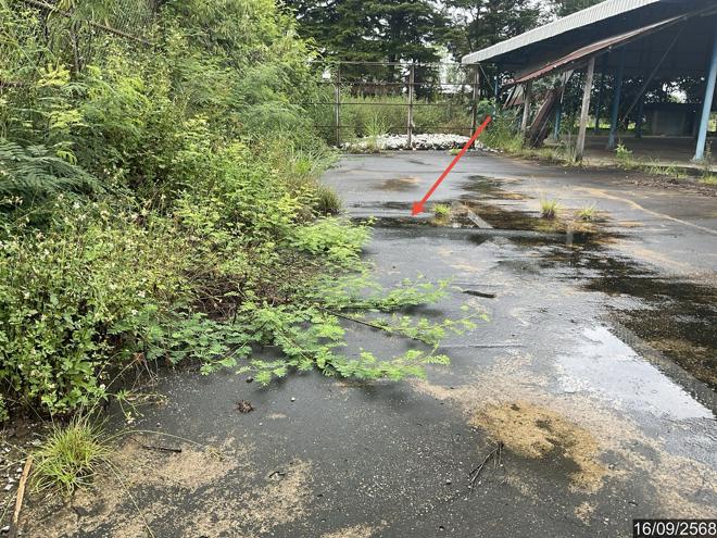 รูป บ้านเดี่ยว สำหรับขาย - ไม้ยา พญาเม็งราย เชียงราย - รูปที่ 20/54