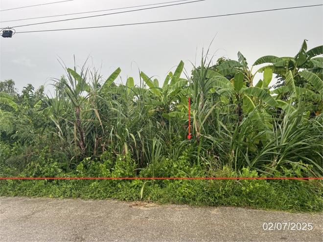picture LAND for sale  Wang Bua Khlong Khlung Kamphaeng Phet - 8/24