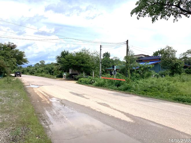 รูป ที่ดินว่างเปล่า สำหรับขาย - ทุ่งนารี ป่าบอน พัทลุง - รูปที่ 7/18