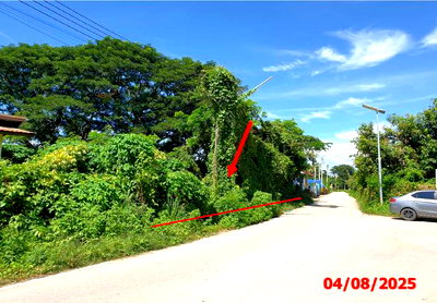 LAND 933 Sq.w. Hang Chat Lamphang for 3M