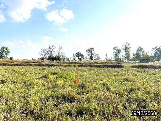 รูป ที่ดินว่างเปล่า สำหรับขาย - ดอนเงิน เชียงยืน มหาสารคาม - รูปที่ 5/16