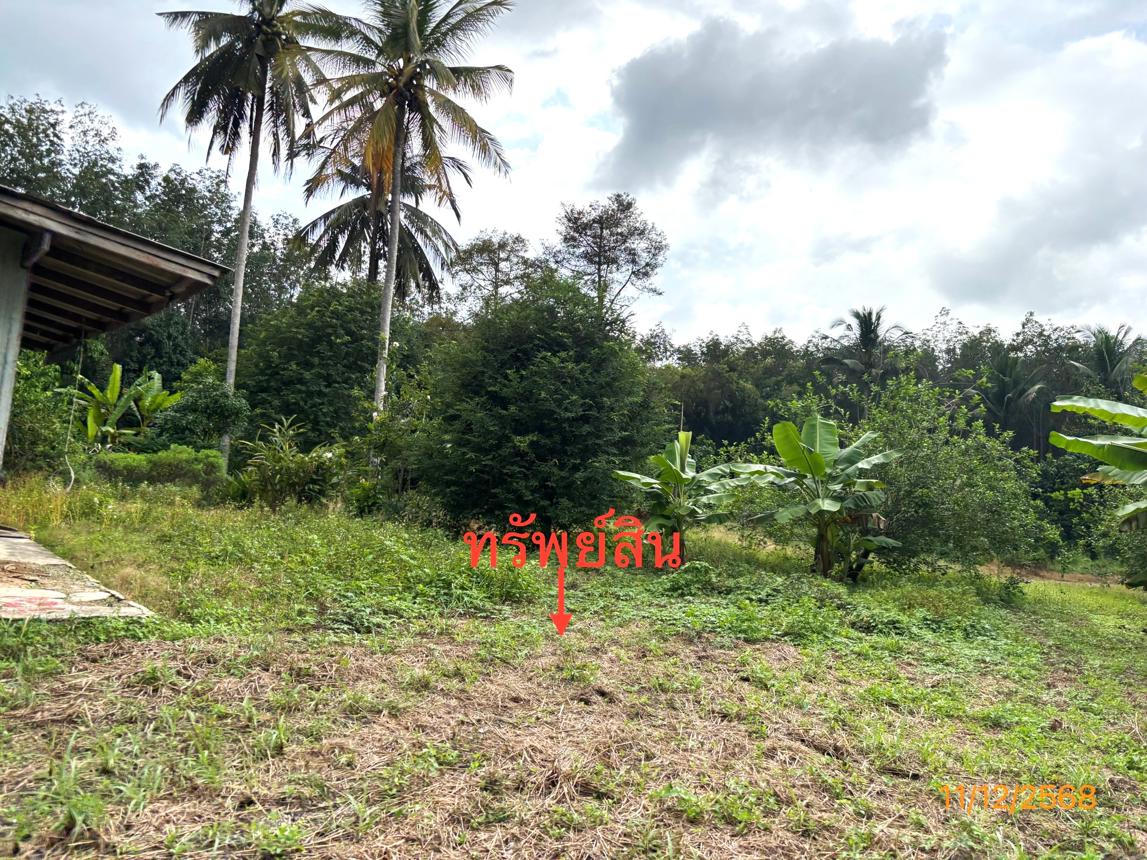 รูป บ้านเดี่ยว สำหรับขาย - คลองสระ กาญจนดิษฐ์ สุราษฎร์ธานี - รูปที่ 19/24